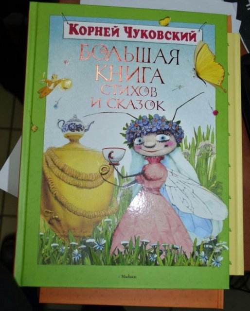 <p>Жінка викрала дорогі книги. Фото: kyiv.npu.gov.ua</p>