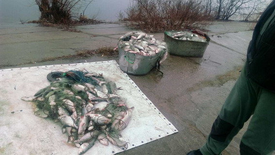 Правоохранители обнаружили неизвестного, который ловил с лодки рыбу. Фото: kyiv.npu.gov.ua