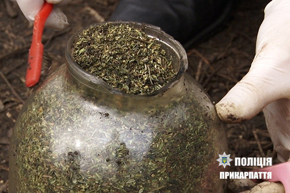 Банки с марихуаной, которые пролежали в земле. Фото: if.npu.gov.ua