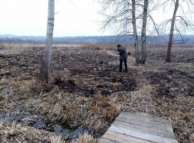 Пожар в Долине нарциссов. Фото: facebook.com/alla.hayatova, uzhgorod.net.ua