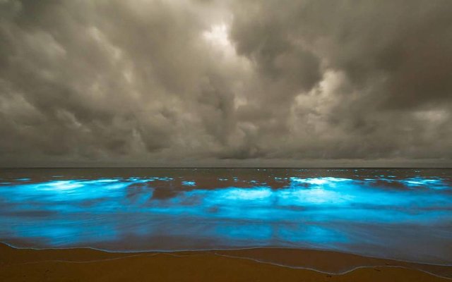 Залив в Австралии засиял голубым светом. Фото: leannemarshall/Instagram, brett.chatwin/Instagram, sarah_the_explorer76/Instagram
