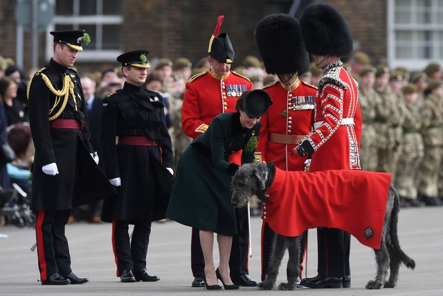 <p>Кейт Міддлтон і принц Вільям. Фото: AFP</p>