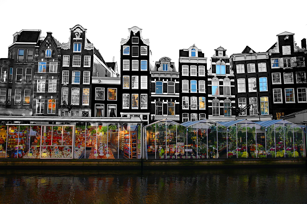 купить коноплю в амстердаме