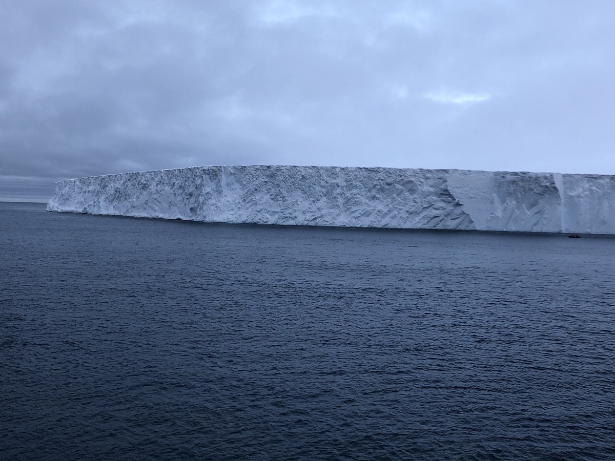 Розтанув найбільший у світі айсберг: скільки води потрапило в океан